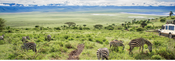 https://www.tanzaniatourism.go.tz/ 